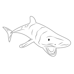 Shark At Look Free Coloring Page for Kids