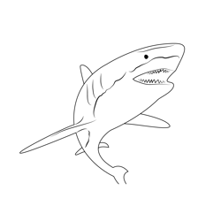 Shark Attack Free Coloring Page for Kids