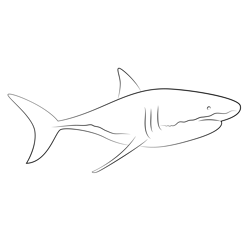 Shark Cropped Free Coloring Page for Kids