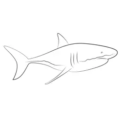 Shark Cropped Free Coloring Page for Kids