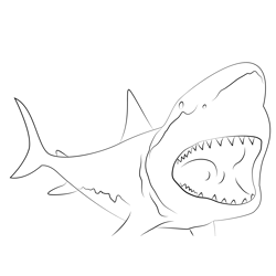 Shark Dive Free Coloring Page for Kids