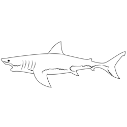 Shark Model Free Coloring Page for Kids