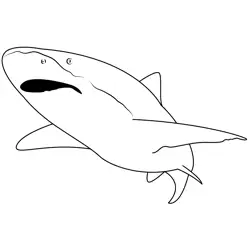 Shark See Free Coloring Page for Kids