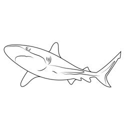 Shark Free Coloring Page for Kids