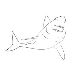 Sharks Free Coloring Page for Kids