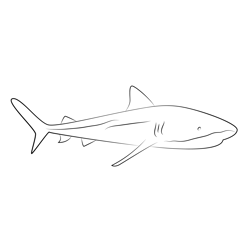 Sharks Do Swim Away Free Coloring Page for Kids