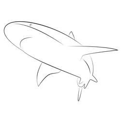 Sharks Dwon Free Coloring Page for Kids