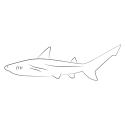 Sharks Going Free Coloring Page for Kids