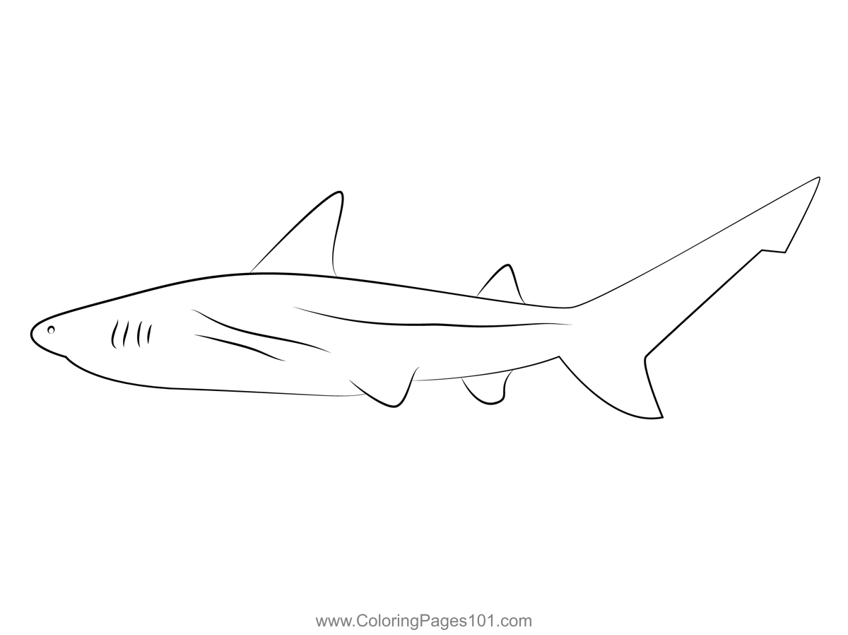 Sharks Going Coloring Page for Kids - Free Sharks Printable Coloring