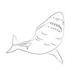 Sharks See Up Free Coloring Page for Kids