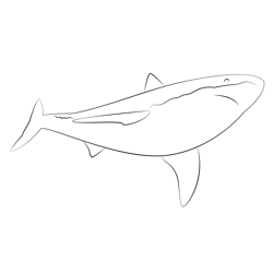 Sharks See Free Coloring Page for Kids