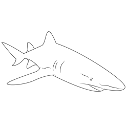 Sharks With Lasers Free Coloring Page for Kids