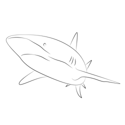 The Shark That Was Studied Free Coloring Page for Kids
