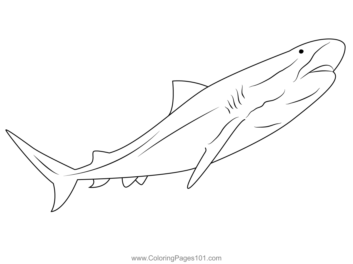Tiger Look Shark Coloring Page for Kids Free Sharks Printable