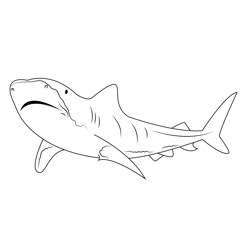 Tiger Shark Migration Free Coloring Page for Kids