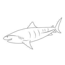 Tiger Shark Underwater Free Coloring Page for Kids