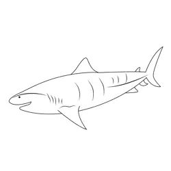 Tiger Shark Underwater Free Coloring Page for Kids
