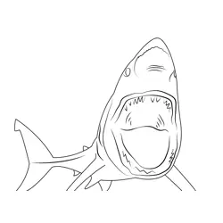 Waking Shark Free Coloring Page for Kids