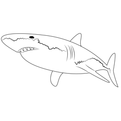 White Shark Free Coloring Page for Kids