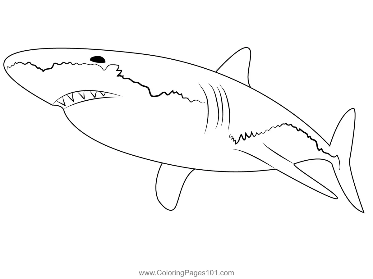 White Shark Coloring Page for Kids - Free Sharks Printable Coloring