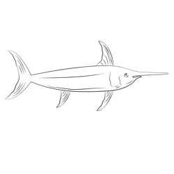 Ford Igfa Swordfish Free Coloring Page for Kids