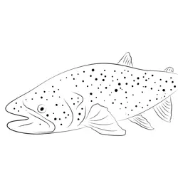 Alaska Trout Fishing Lodge Free Coloring Page for Kids