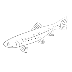 Brook Trout Cherokeenf Free Coloring Page for Kids