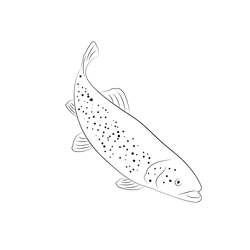 Brook Trout Free Coloring Page for Kids