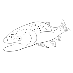 Flyfishing For Trout Free Coloring Page for Kids