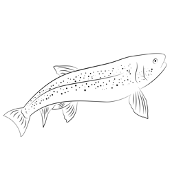 Lahontan Cutthroat Trout Free Coloring Page for Kids