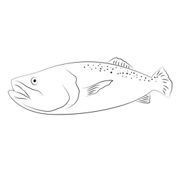 Mississippi Trout Fishing Free Coloring Page for Kids