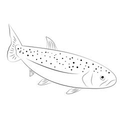 Rainbow Trout Free Coloring Page for Kids