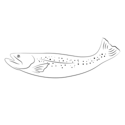 Southern Appalachian Brook Trout Free Coloring Page for Kids
