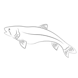 Trophy Lake Trout Fishing Free Coloring Page for Kids