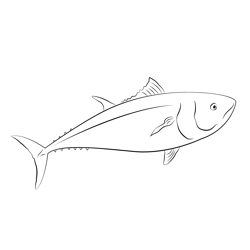 Dad Birthday Tuna Fishing Free Coloring Page for Kids