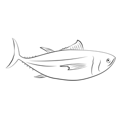 Tuna Capecod Free Coloring Page for Kids