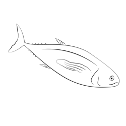Tuna Free Coloring Page for Kids