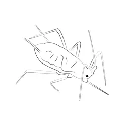 Aphid Green Free Coloring Page for Kids