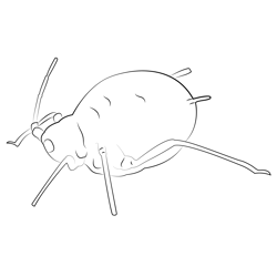 Aphid Mummy Free Coloring Page for Kids