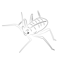 Aphid Red Free Coloring Page for Kids