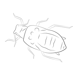 Aphids Free Coloring Page for Kids