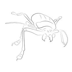 Angry Thai Longhorn Beetle Free Coloring Page for Kids