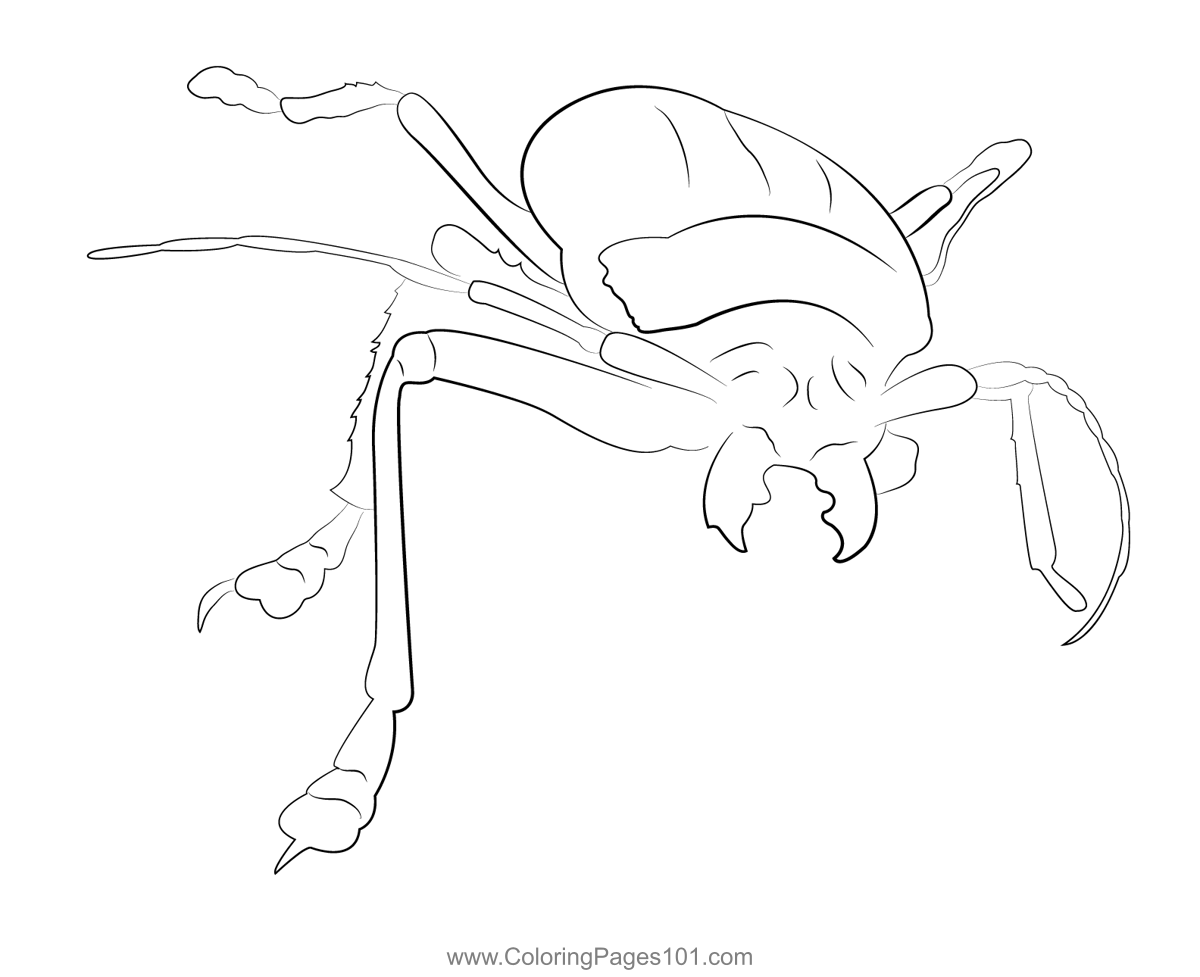 Angry Thai Longhorn Beetle