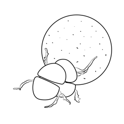 Dung Beetle Free Coloring Page for Kids