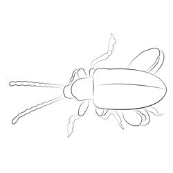 Flea Beetle Mysticz Free Coloring Page for Kids