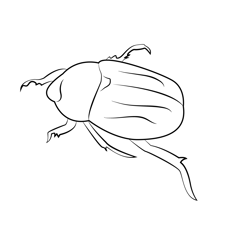 Green Beetle Bug Free Coloring Page for Kids