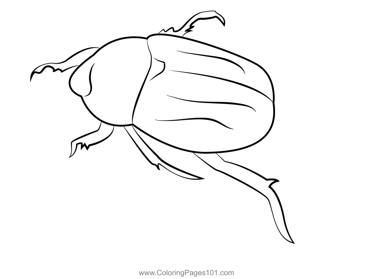 Green Beetle Bug