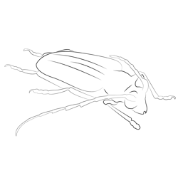 Long Horned Beetle Free Coloring Page for Kids