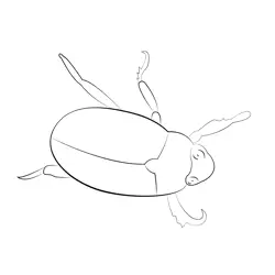 Red Beetle Free Coloring Page for Kids
