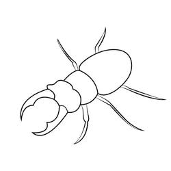 Stag Beetle Free Coloring Page for Kids